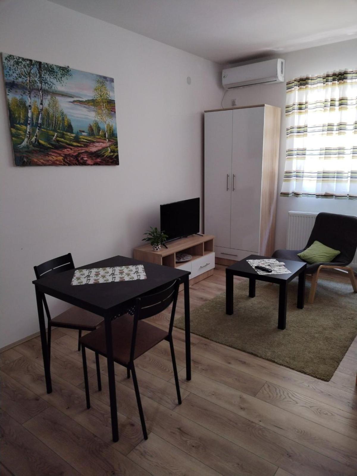V & V Studio Apartments Nis Room photo