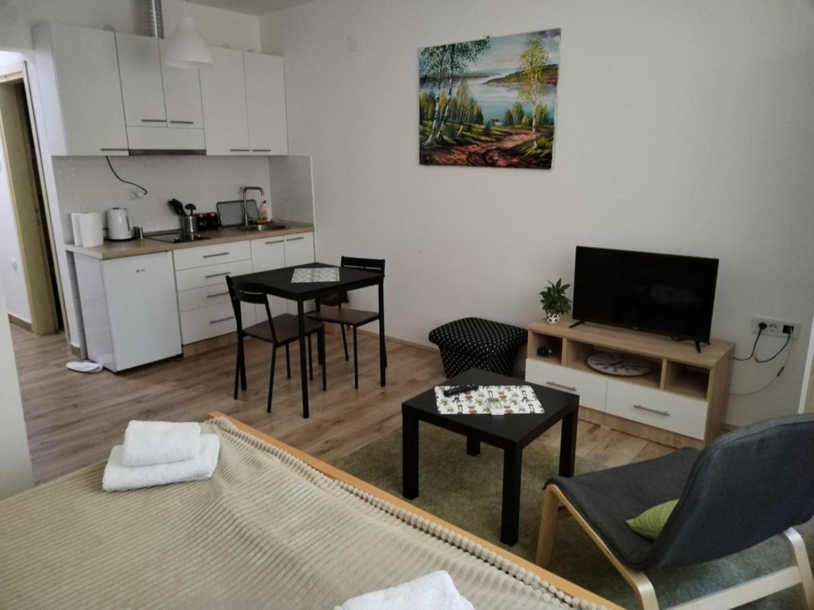 V & V Studio Apartments Nis Room photo